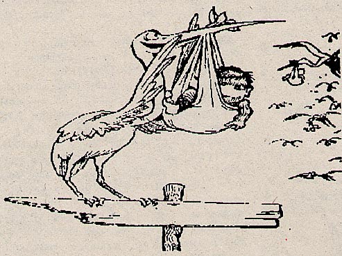 allegoria della nascita